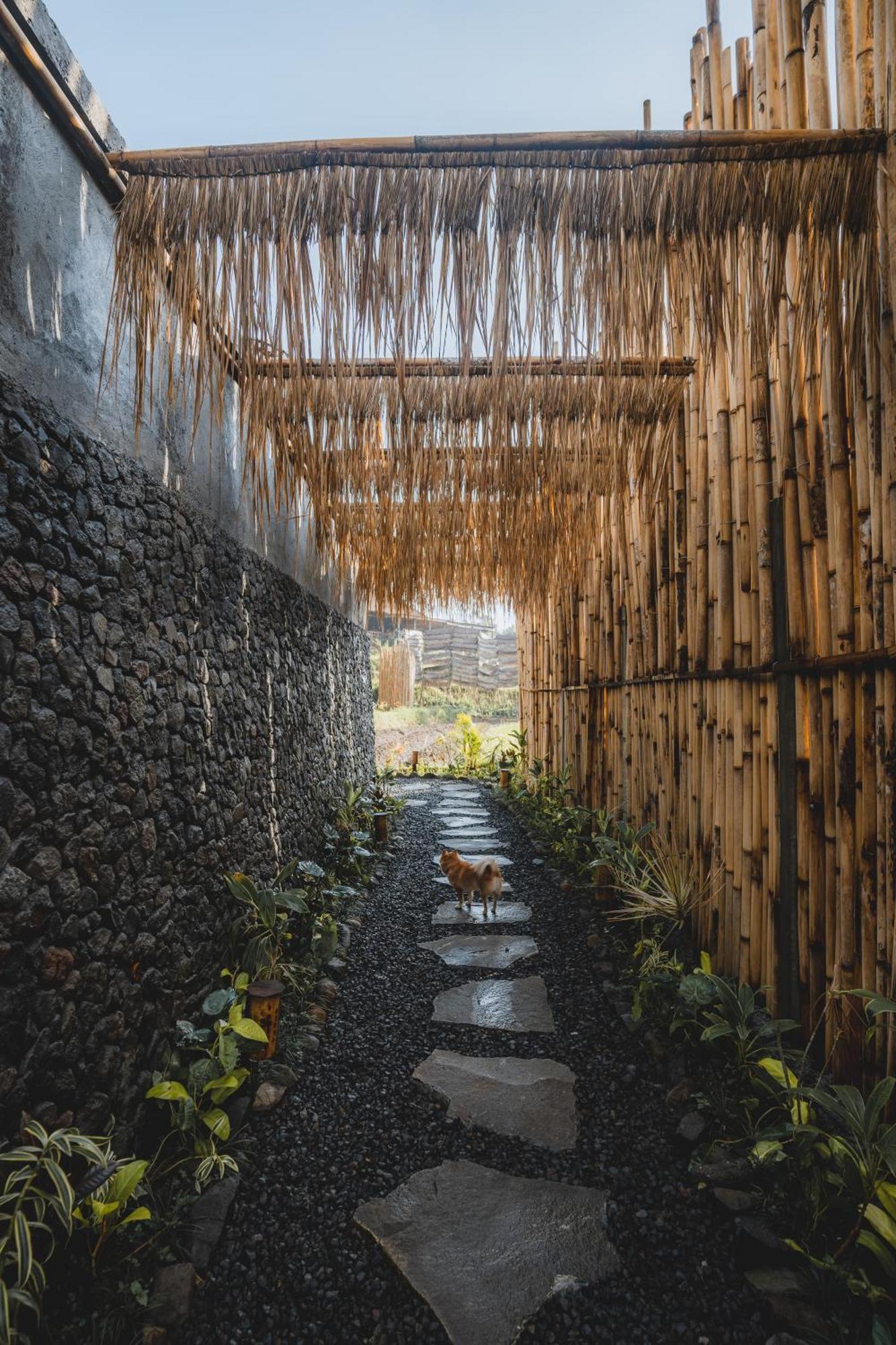 Vila Nivriti Bali Sidemen  Exteriér fotografie