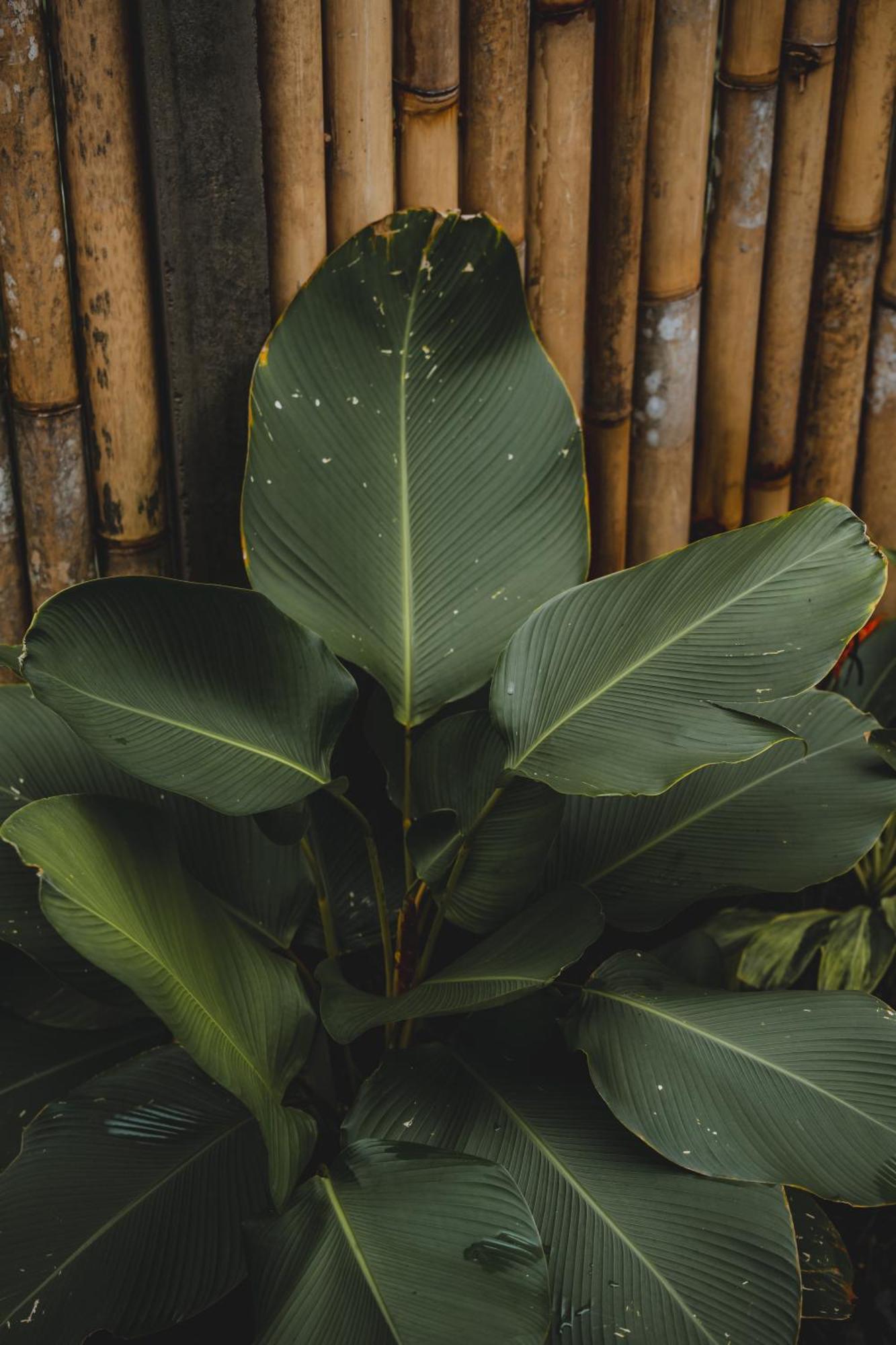 Vila Nivriti Bali Sidemen  Exteriér fotografie